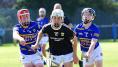 Inter-county Academy hurling finals take place on Saturday 